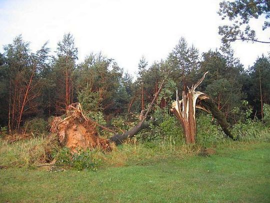 Szkody po nawałnicy