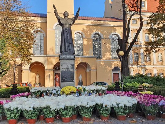 Tak pomagają sprzedawcom chryzantem