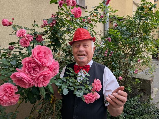 Tedi już nie ma tylu róż