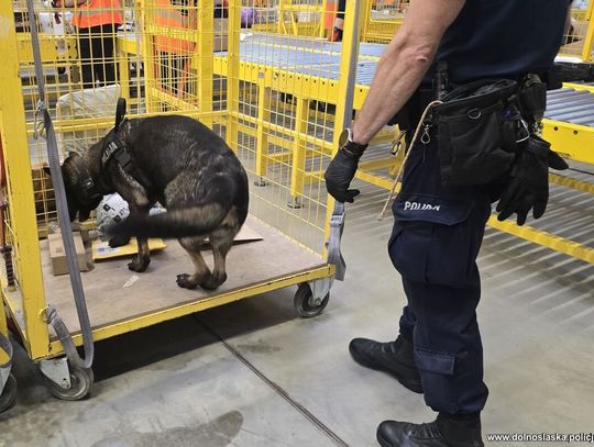 Teraz narkotyki przychodzą po prostu paczką. Policja się nie poddaje...