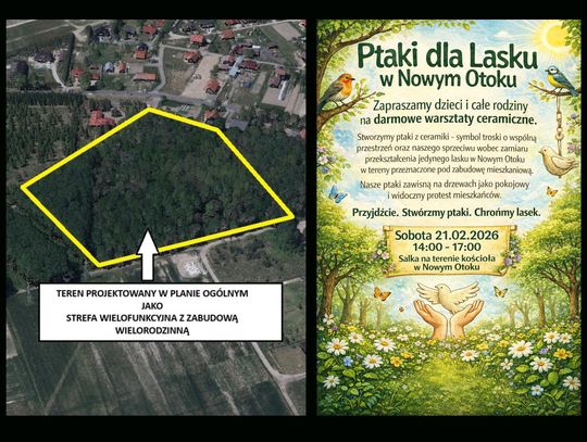 To będzie niezwykły protest w obronie tego lasku! To będzie niezwykły protest w obronie tego lasku!