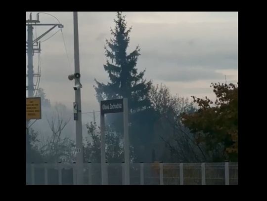 To była podróż ze smrodem dymu z działek!