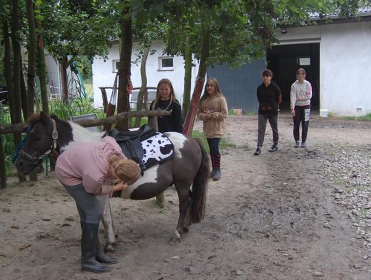 To drugie już, niezwykłe bezpłatne warsztaty jeździeckie