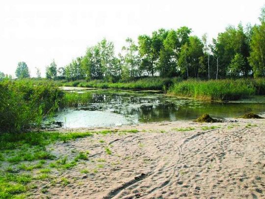 TRAGEDIA Śmierć przy miłoszyckiej "Biesiadówce"