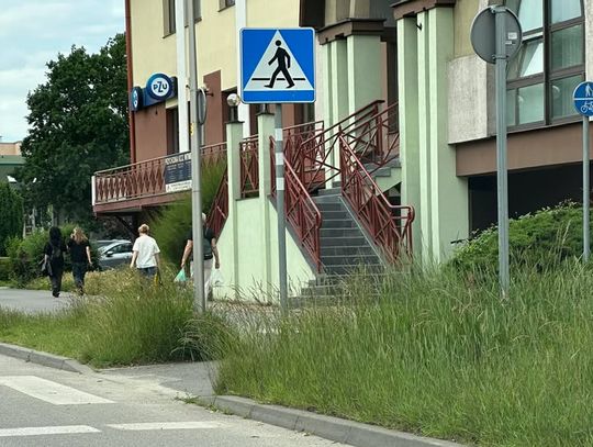 Trawa w niektórych miejscach po pas