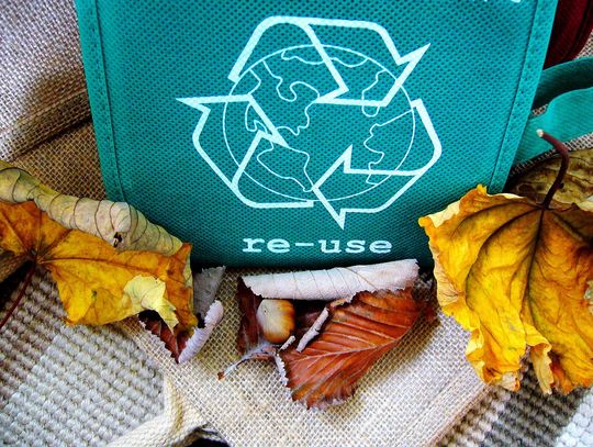 Trendy w recyklingu - nowe technologie i ich wpływ na środowisko