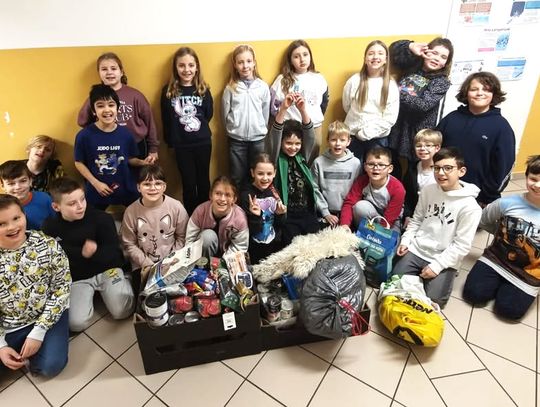 Trzecioklasiści wsparli oławskie schronisko Trzecioklasiści wsparli oławskie schronisko