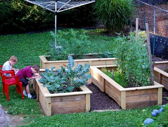 Trzy sposoby na tańsze podlewanie ogródka