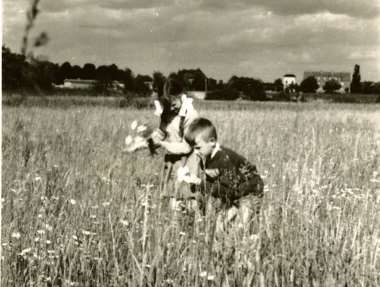 Twórzmy wspólnie fotograficzną historię Oławy (album 202) Historia Oławy