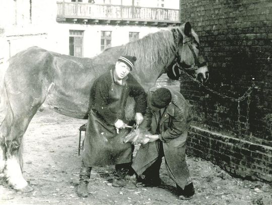 Twórzmy wspólnie fotograficzną historię Oławy (album 208)