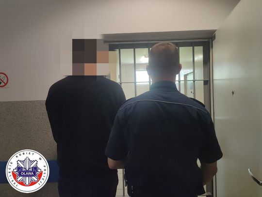 Uderzył w głowę. 19-latek z zarzutami