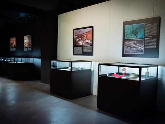 W cieniu gigantów – nowa wystawa czasowa w Hydropolis