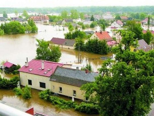 W Jelczu było najgorzej. ZDJĘCIA