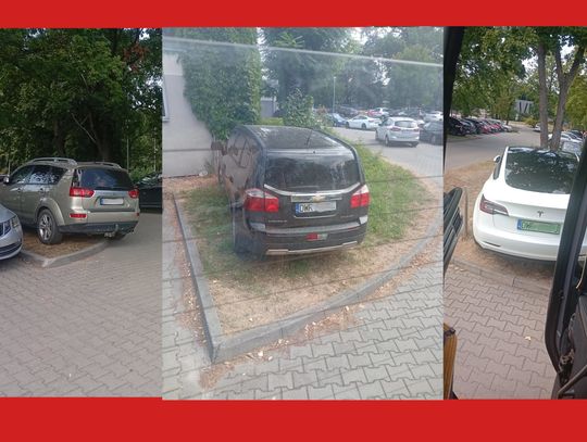 W pogodne dni to się tu powtarza