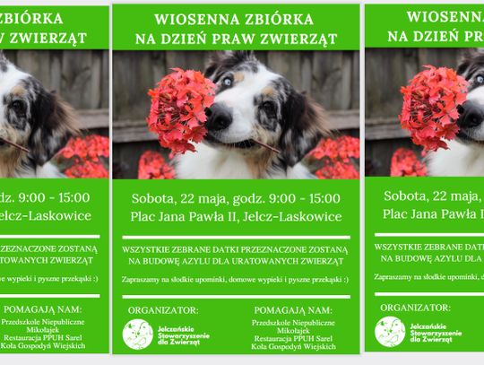 W sobotę zbiórka dla zwierząt