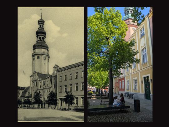 W tym roku mija 100 lat od posadzenia lip wokół ratusza w Oławie