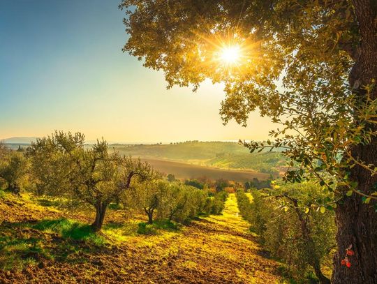 Wakacje w Toskanii pozwolą Ci odkryć prawdziwy włoski styl życia
