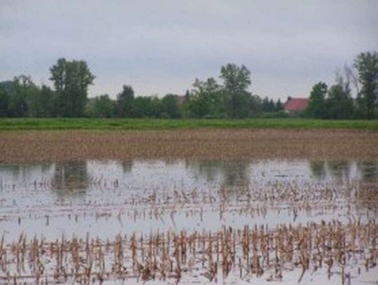 Ważne dla rolników dotkniętych powodzią