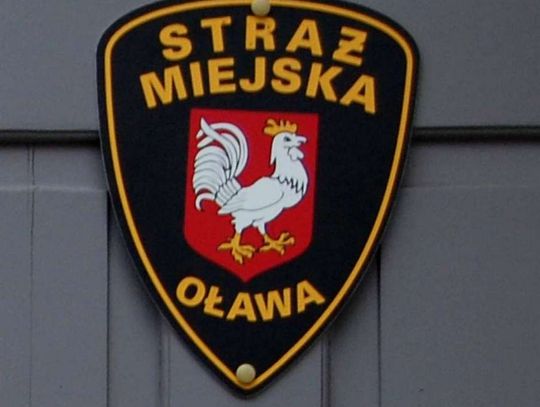 Wiele hałasu o 100 złotych. Straż Miejska nabiera wody w usta