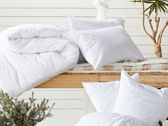 Wnętrza inspirowane naturą