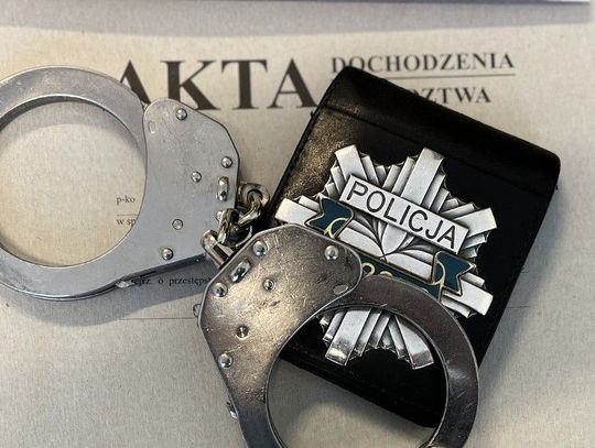 Wsiadł za kierownicę mimo zakazu - dostał pół roku