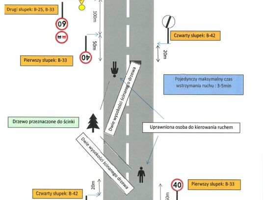 Wycinka drzew. Uwaga kierowcy! Będą utrudnienia!