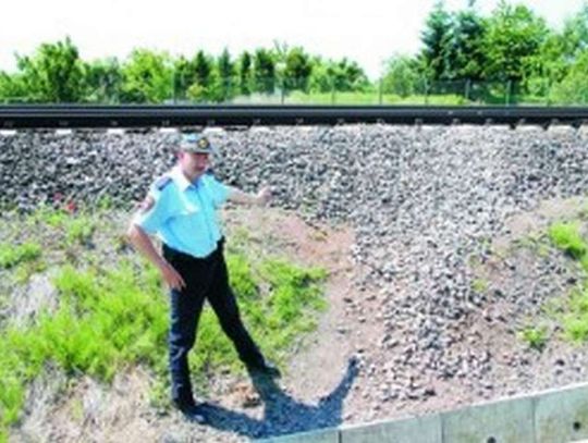 Wydeptują straty i stwarzają zagrożenie