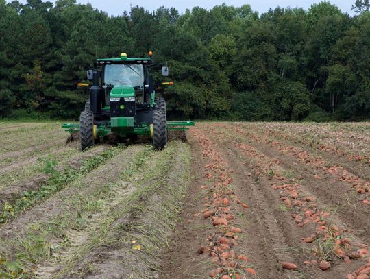 Wysokość i kształt redliny – jak dbać o elementy robocze obsypnika z częściami Exparto?