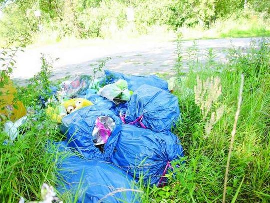 Za śmieci - od głowy