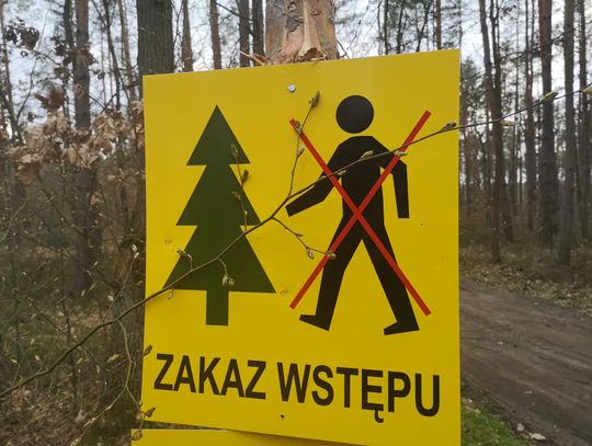 ZAKAZ wstępu do lasu...