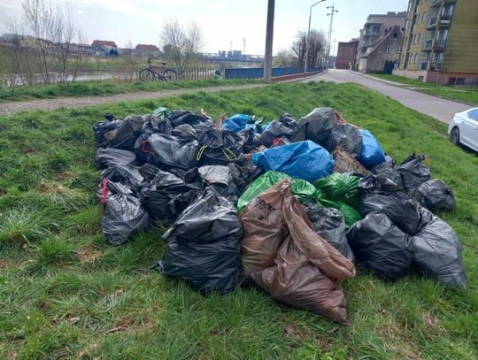 Zebrali na brzegu Odry około tony śmieci Zebrali na brzegu Odry około tony śmieci