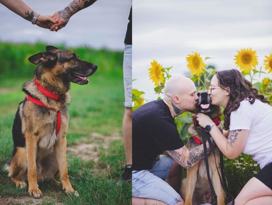 Zeus zyskał dom. Nareszcie! Czekał długo, ale warto było