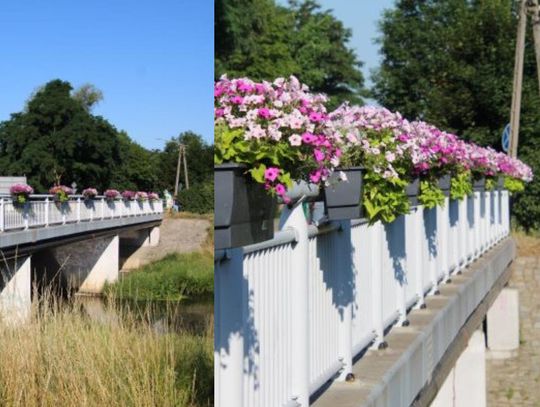 Zielona strona Oławy. Jest taka? (1)