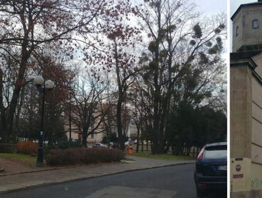 Zmiany na Placu Piastów! Będą miejsca do parkowania