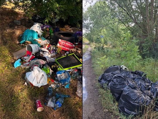 Znaleźli sprawcę. Udana akcja strażników. Śmieci pozbierane