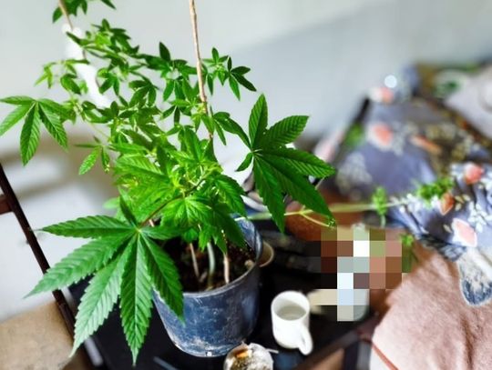 Znęcał się psychicznie i fizycznie nad swoją partnerką Policja Oława
