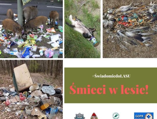 Zobacz jak śmieci niszczą świat, w którym żyjemy!