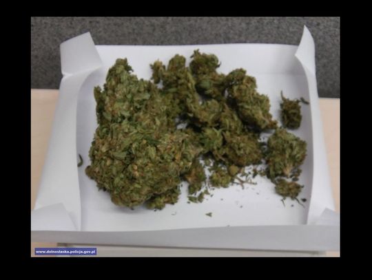 Zobaczyli policję i spanikowali. Wpadli z marihuaną