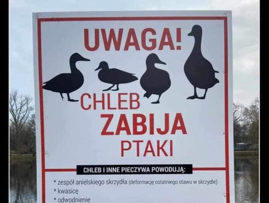 Zwróciłam paru osobom uwagę, ale sytuacja się powtarza...