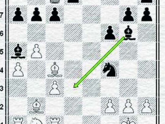 Zwycięska passa trwa