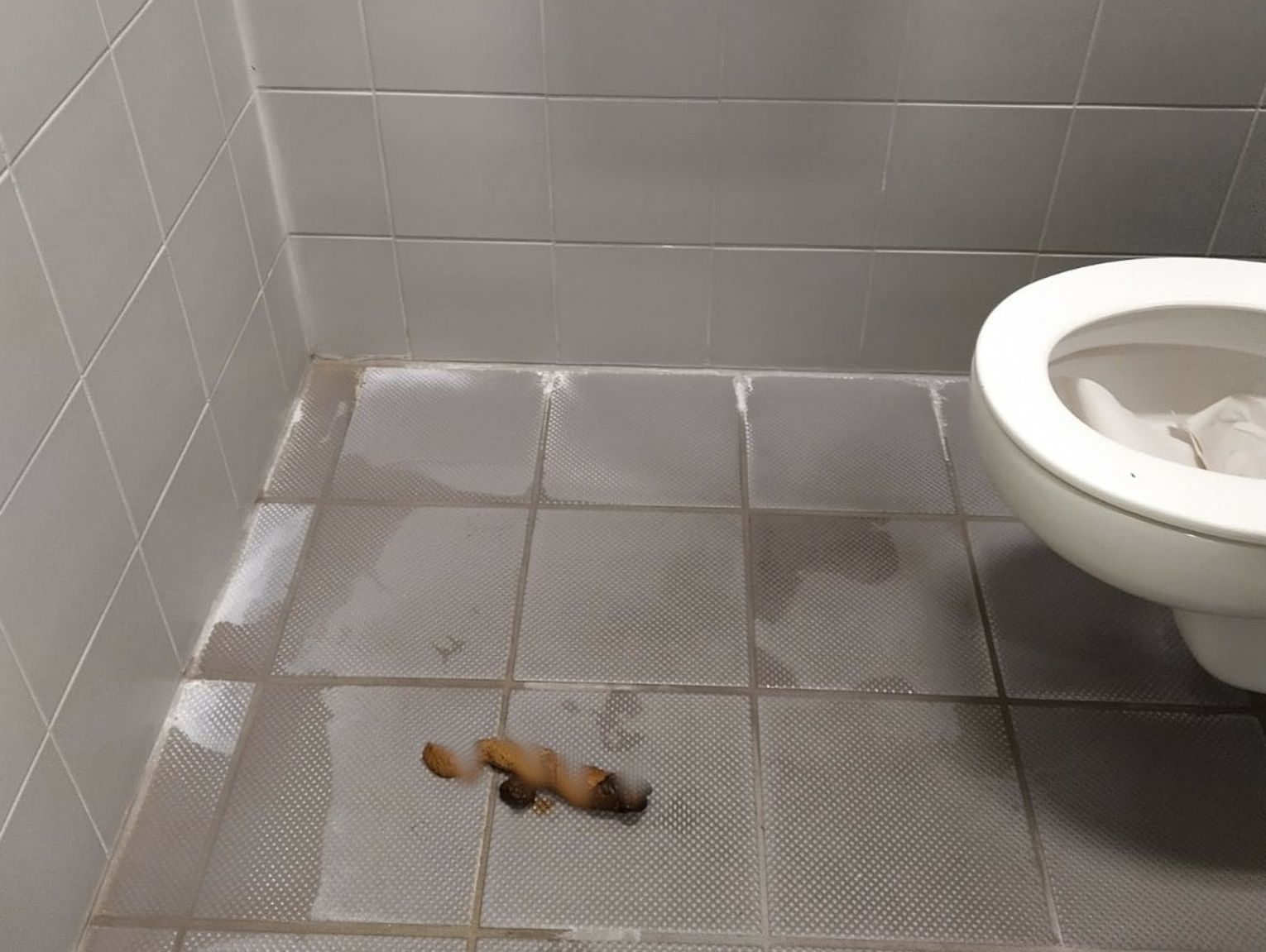 Może takie drastyczne zdjęcie podziała? = TuOlawa.pl