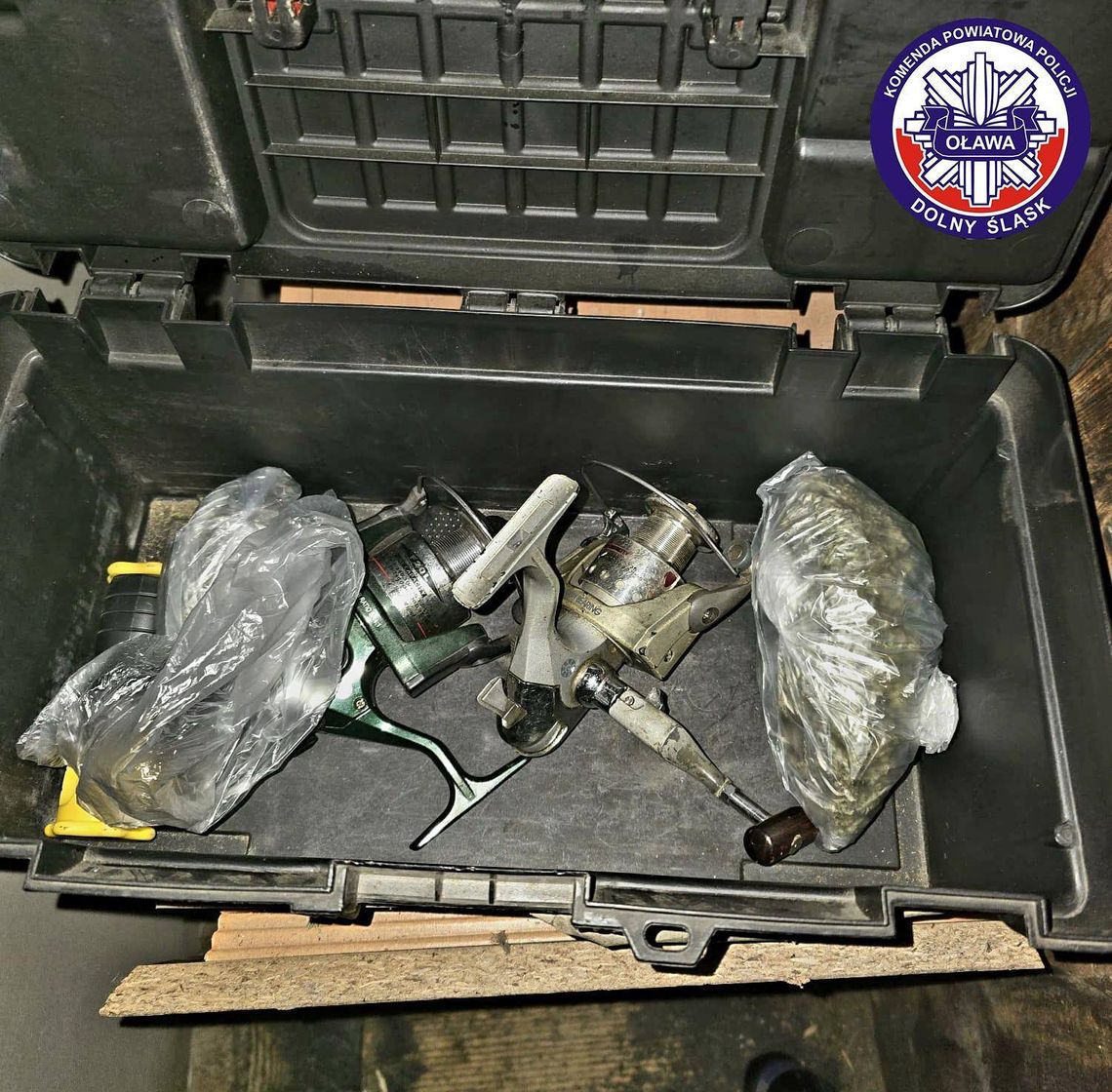 1335 porcji marihuany nie trafi na rynek 1335 porcji marihuany nie trafi na rynek