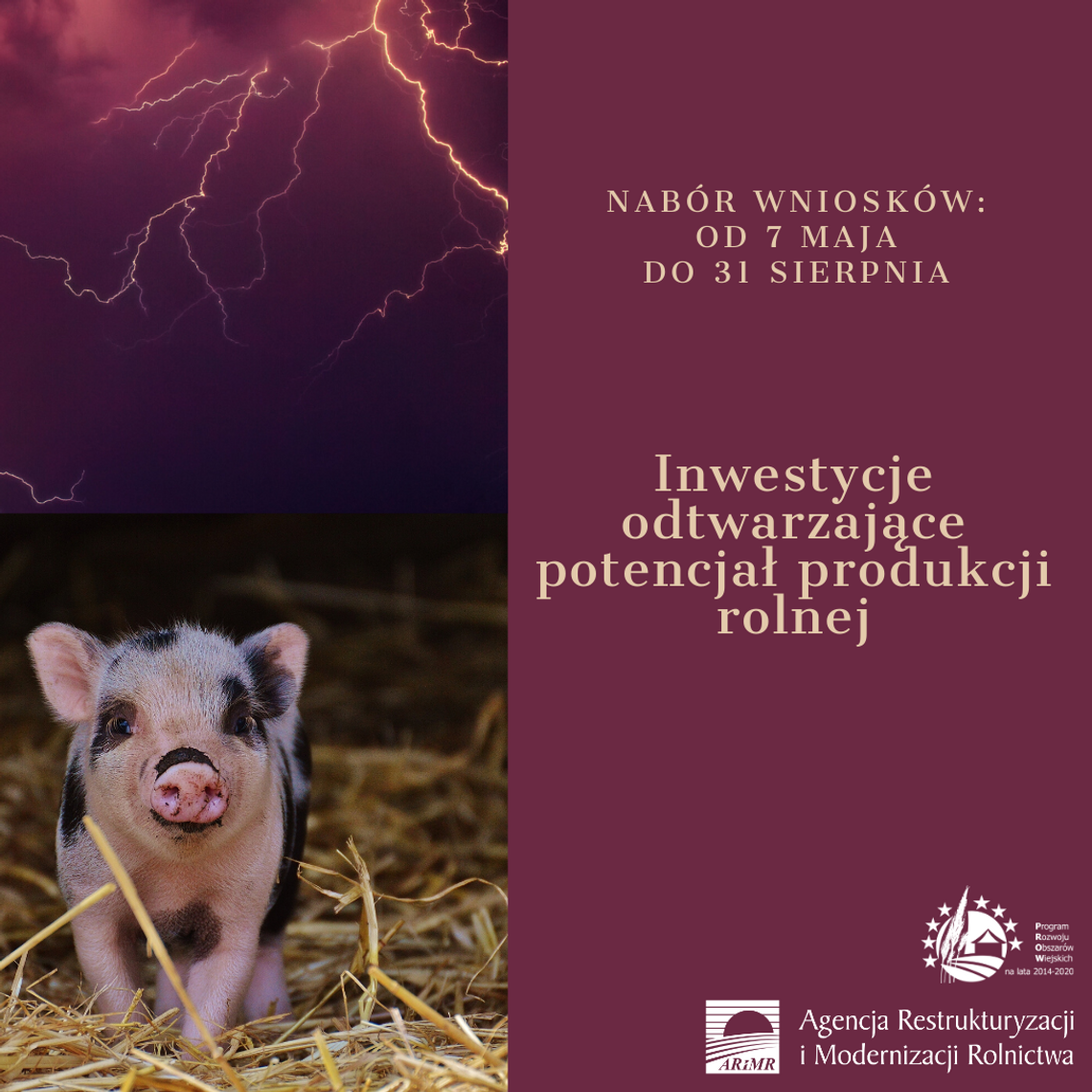 300 tys. zł na odtworzenie potencjału produkcji rolnej 