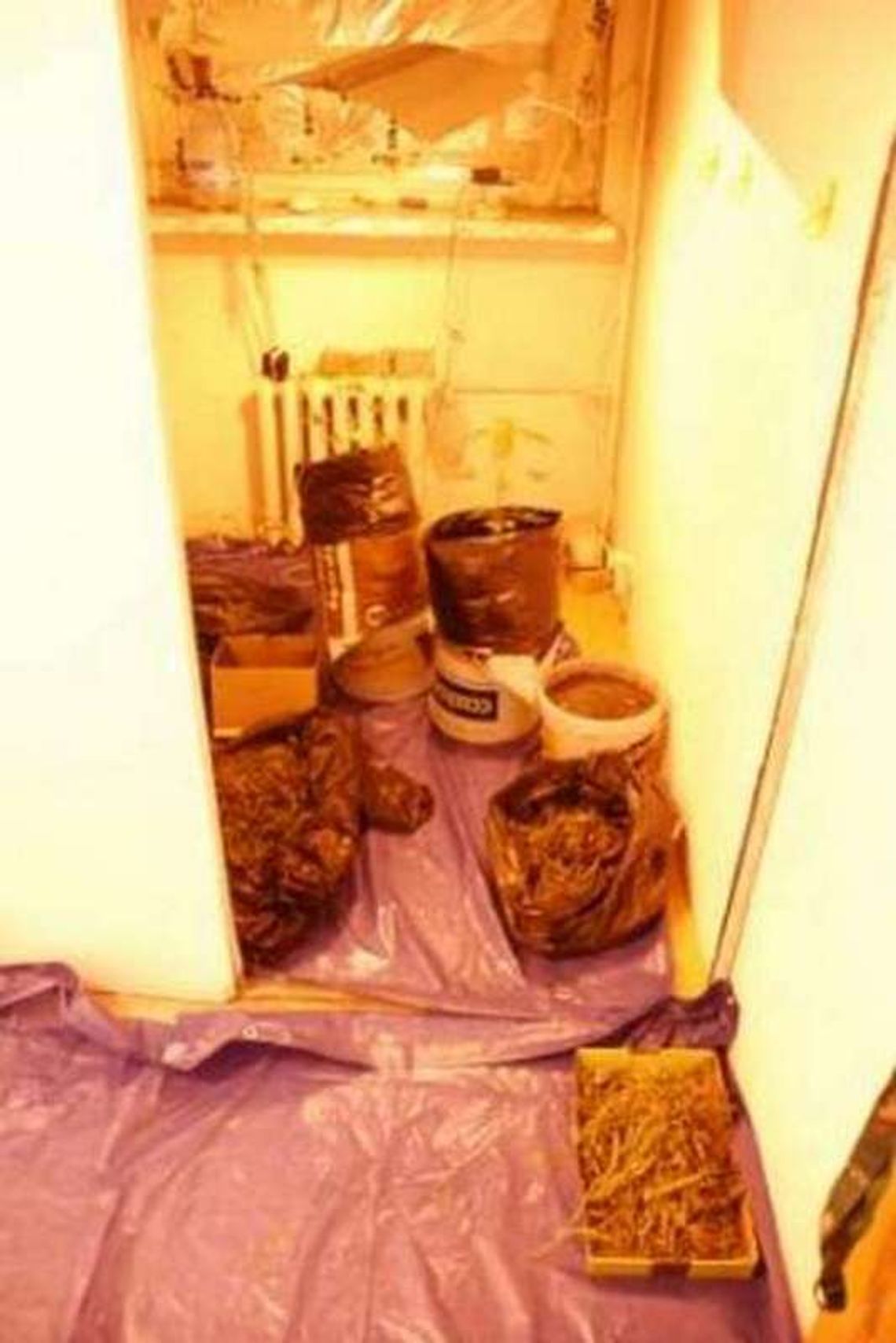 40 000 porcji marihuany