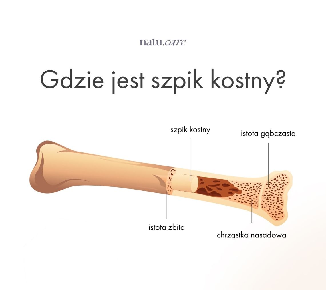 Dzień Dawcy Szpiku. Dlaczego chorzy potrzebują również Ciebie?