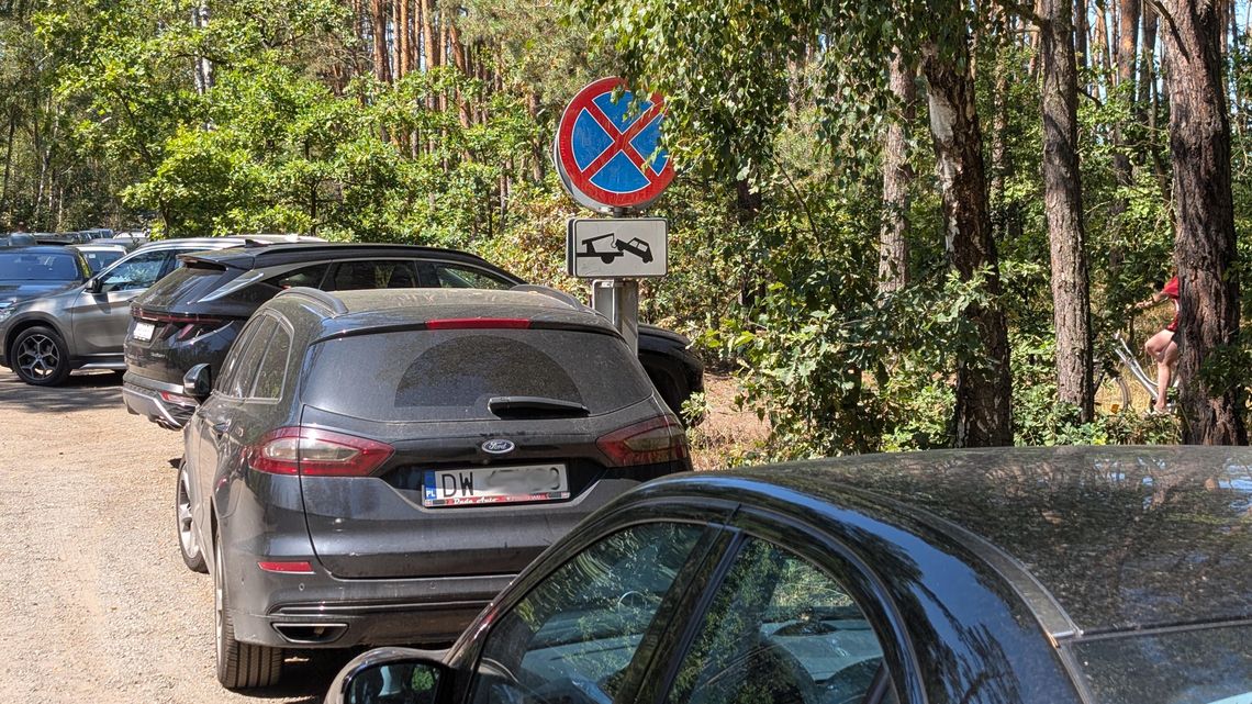 A w Jelczu nad stawem po staremu A w Jelczu nad stawem po staremu
