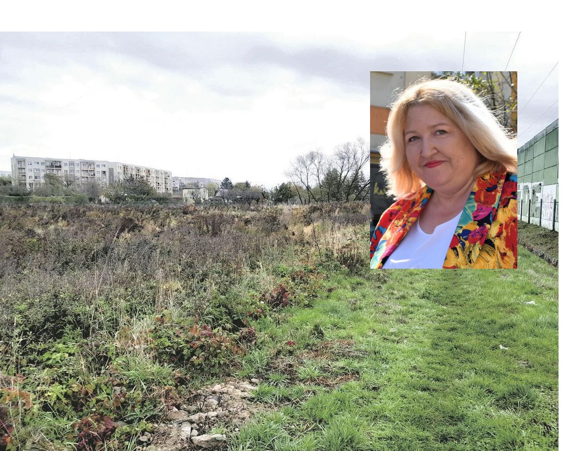 Agnieszka Mikołajek: - Budżet Obywatelski. Jednak chyba fikcja Agnieszka Mikołajek: - Budżet Obywatelski. Jednak chyba fikcja