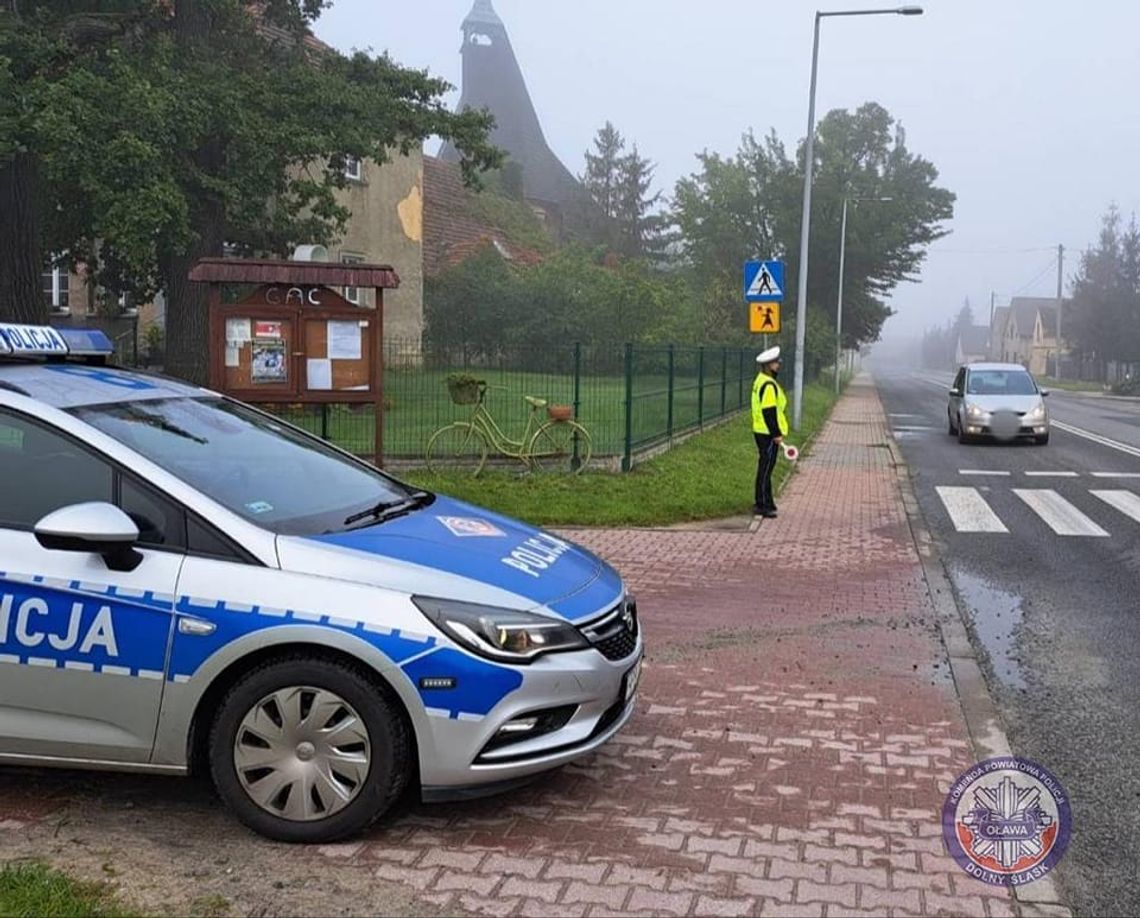 Akcja NURD. Ponad 700 wykroczeń na przejściach dla pieszych...