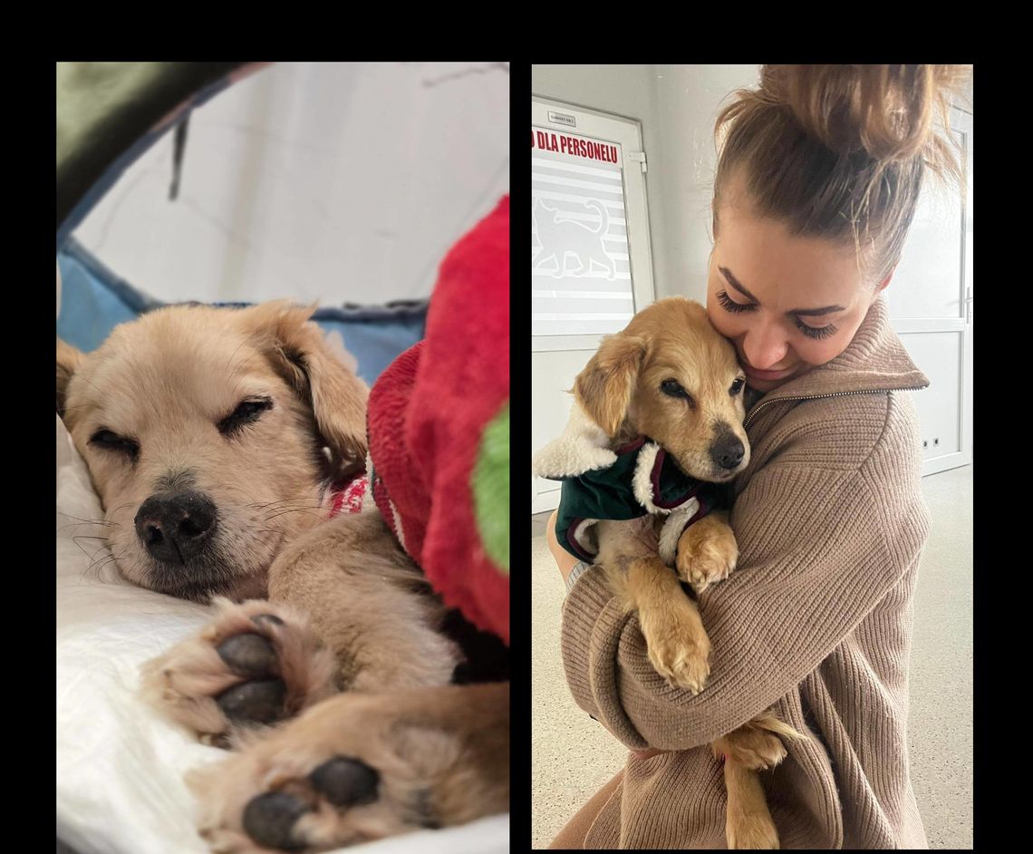 Amorek znalazł tymczasowy dom u Klaudii