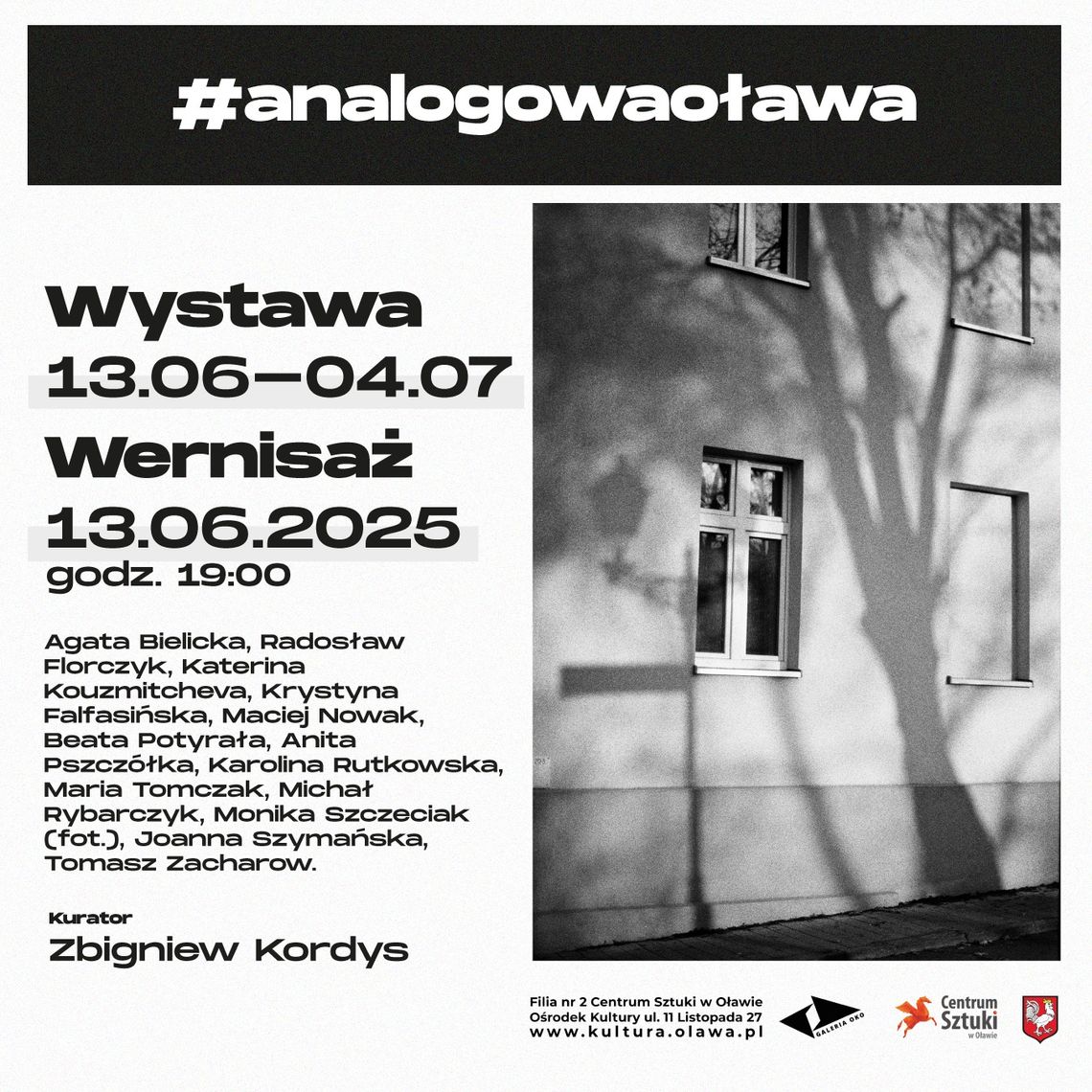 Analogowa Oława